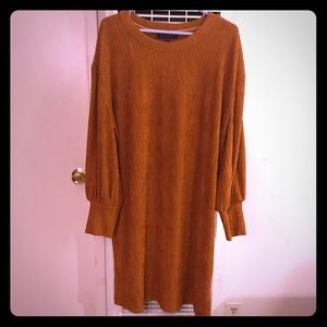 Eloquii long sleeve dress.